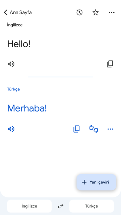 Google Çeviri Resimleri