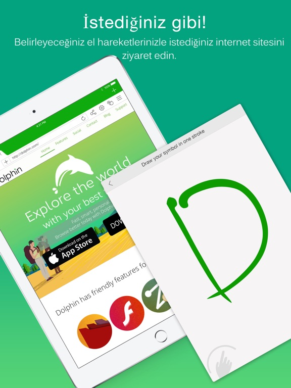 Dolphin Internet Tarayıcı Resimleri