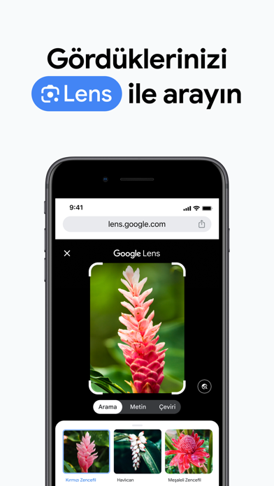 Google Chrome Resimleri