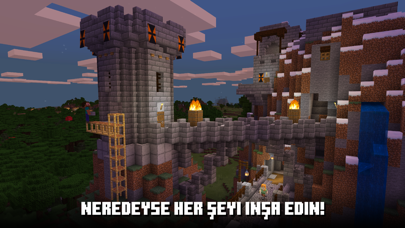 Minecraft Resimleri