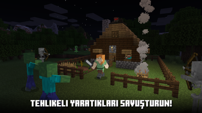 Minecraft Resimleri