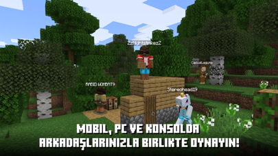 Minecraft Resimleri