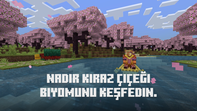 Minecraft Resimleri