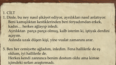 Mevlana & Mesnevi Resimleri