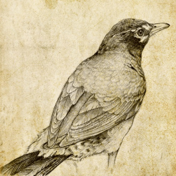 iPhone & iPad Sketch Master - Cartoon Filter ikonu