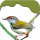 Birds on Planet Earth iPhone ve iPad indir