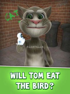 Talking Tom Cat for iPad Resimleri