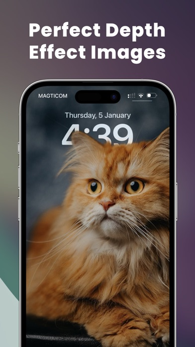 Widget skins 17 Resimleri