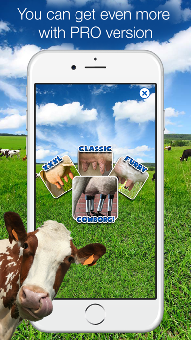 Milk The Cow Resimleri