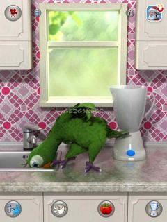 Talking Pierre the Parrot for iPad Resimleri