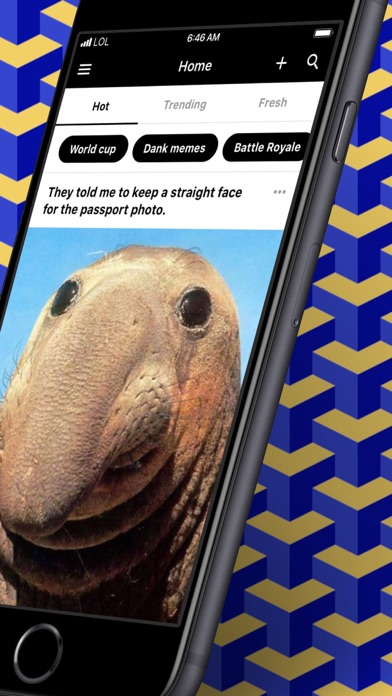 9GAG: Best LOL Pics & GIFs Resimleri
