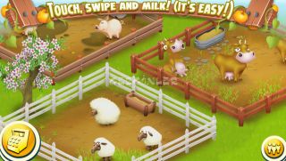 Hay Day Resimleri