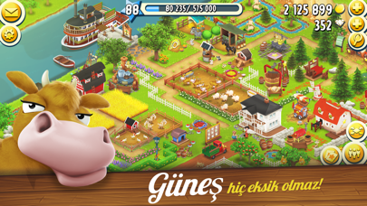 Hay Day Resimleri