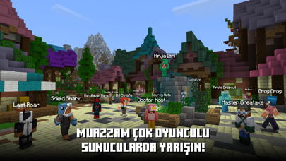 Minecraft Resimleri