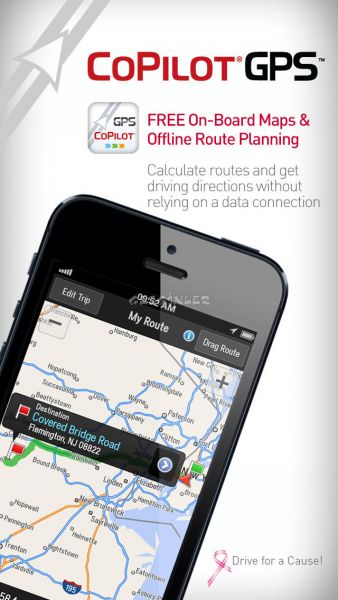 resim2 copilot gps 1