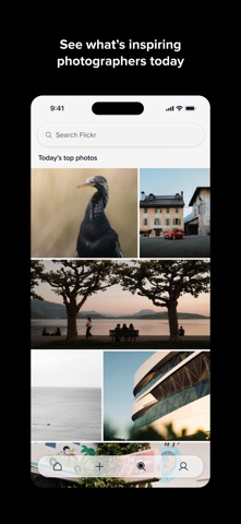 Flickr Resimleri
