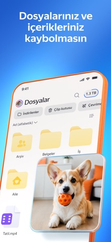 Yandex Disk: Fotoğraf depolama Resimleri