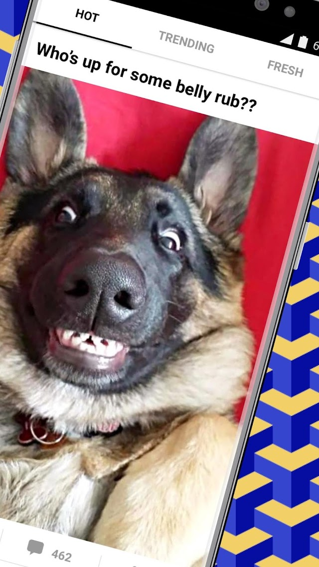 9GAG: Funny GIF, Meme & Video Resimleri