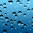 Ya�mur Damlas� canl� duvar