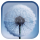 Galaxy S3 Dandelion LWP Android indir