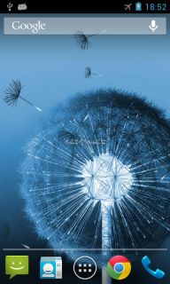 Galaxy S3 Dandelion LWP Resimleri