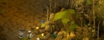 Dofus