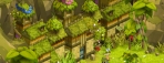 Dofus