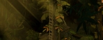 Dofus