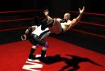 The Wrestling Game