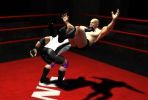 The Wrestling Game